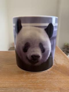 新品未使用  パンダマグ  シャンシャンのサムネイル