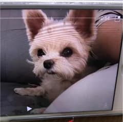 みっちゃんさん専用です☆のサムネイル