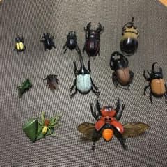 昆虫フィギュア  マグネットなど12このサムネイル