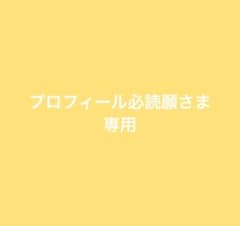 プロフ必必読_____ippp さま専用 プロフィール必読願さま 専用 - メルカリ
