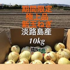 ★期間限定★ 極上品　淡路島産　新たまねぎ　10kg  新玉ねぎのサムネイル