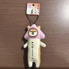 柴犬 京都 やつはしのサムネイル