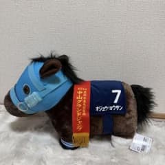 中山グランドジャンプ ぬいぐるみ 6番 第24回中山グランドジャンプ オジュウチョウサン BIGぬいぐるみ - メルカリ