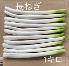 長ねぎ【ねぎ】1キロのサムネイル