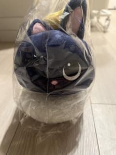 RIIZE らいずしぬいぐるみ　WONBINのサムネイル