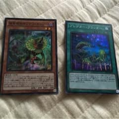 プレデタープランター捕食植物セットのサムネイル