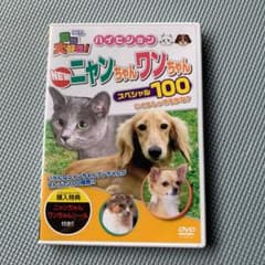 ニャンちゃん ワンちゃん DVDのサムネイル
