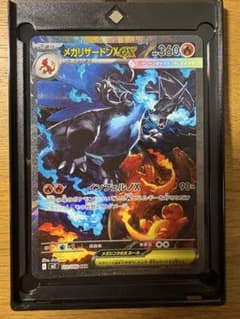 たろう様専用のサムネイル