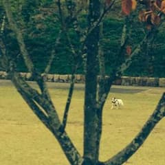 ウタカタさん専用のサムネイル