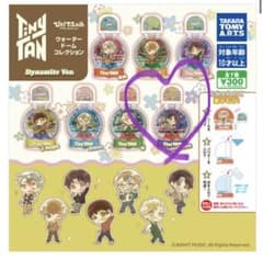 TinyTAN 워터 돔 Jungkook