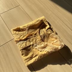 biquette 95のサムネイル