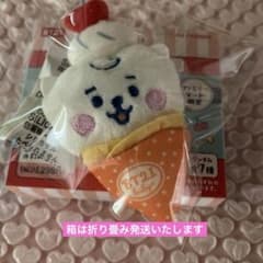 BT21 파미마 한정 봉제인형 배지 RJ