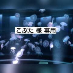 こぶた様専用のサムネイル