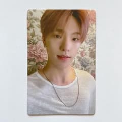 seventeen Attacca Op.1 トレカ ディノ 25のサムネイル