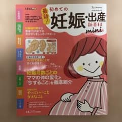 初めての妊娠・出産 miniのサムネイル