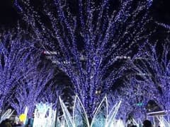 MOMOさま専用のサムネイル