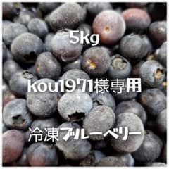 【kou1971】冷凍ブルーベリー　5kg kou1971様専用】冷凍ブルーベリー 5kg - メルカリ