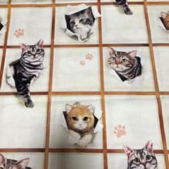 猫ちゃん柄　生地のサムネイル