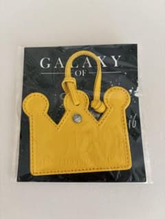 2PM GALAXY OF 2PM JUNHO レザーチャームのサムネイル