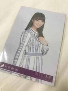 生写真 阪口珠美のサムネイル