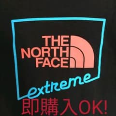 大人気　エクストリーム　Tシャツ THE NORTH FACE　ロゴのサムネイル