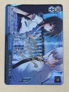 【PSA10】第四真祖と監視役 SP サイン ヴァイスシュヴァルツ 第四真祖と監視役 SP サイン | Mercari