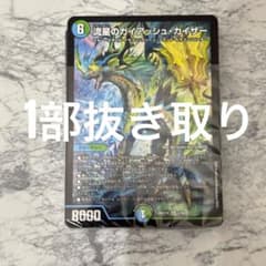 デュエマ 25の王道 ドラゴン娘の生徒会大集結ドラゴンデッキ 開封済