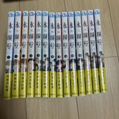 S*1様 氷の城壁 1〜14巻 全巻セット（帯付き多数・美品） - メルカリ
