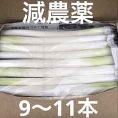 不揃いカットネギ　　　　　おいし〜いよ！ 　　A4サイズのサムネイル