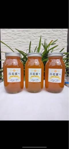 高知県産⭐︎蜂蜜⭐︎濃厚☆日本ミツバチ⭐︎1200g3本セット - メルカリ