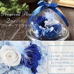 ブリザードフラワーのサムネイル
