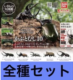 いきもの大図鑑 かぶとむし10 全5種類 3