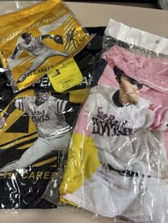福岡ソフトバンクホークス 高橋純平　Tシャツ　巾着 タオル3点セットのサムネイル
