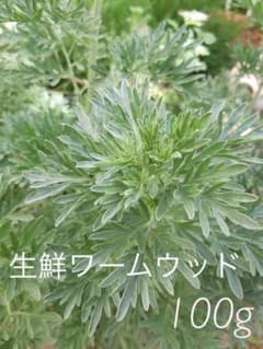 生 ワームウッド にがよもぎ 100gのサムネイル