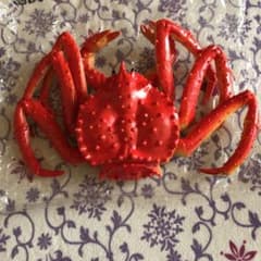 リアルなカニ！！のサムネイル