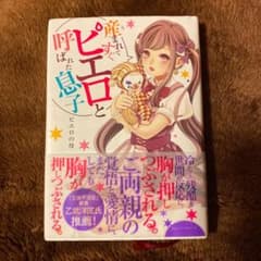 Roa様専用　　　産まれてすぐピエロと呼ばれた息子のサムネイル