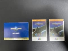 USJ ユニバーサルスタジオジャパン　パートナーパス２枚のサムネイル