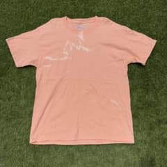 鬼フェード Hanes Beefy-T ピンク ブランクTシャツ Lサイズ US - メルカリ