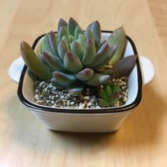 y.n☆ママ※プロフ確認※様専用のサムネイル