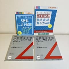 進研ゼミ 中学講座 リハーサルテスト・ドリル冊子セット