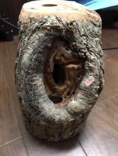 森兵衞 クワリウム  三本木のサムネイル