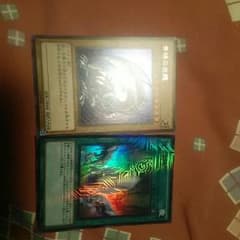 ブルーアイズホワイトドラゴン(シク）のサムネイル