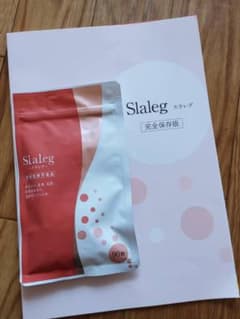 【新品未開封】スラレグのサムネイル