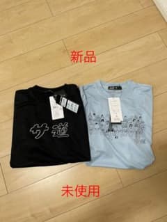 サ道　しまむら　Lサイズ　Tシャツ　2枚セットのサムネイル