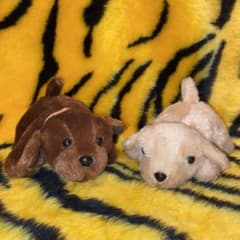 犬のぬいぐるみのサムネイル