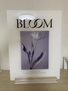 BLOOM アクリルフォトフレーム インテリア雑貨のサムネイル