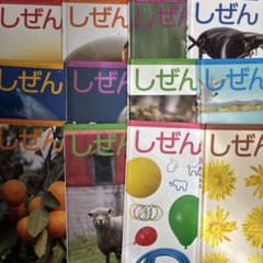 「マーニー様専用」しぜん キンダーブック　フレーベル館　12冊セットのサムネイル