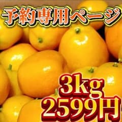 ジャンボ金柑　三キロのサムネイル