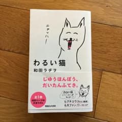 わるい猫のサムネイル