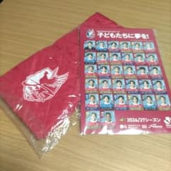 ファジアーノ岡山 応援グッズ 最新版選手名鑑下敷き&おまけつき - メルカリ